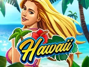 Hawaii game cover